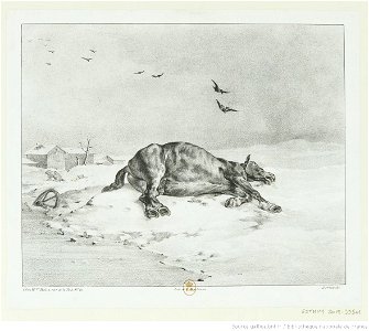 Géricault - Le cheval mort, btv1b100286115