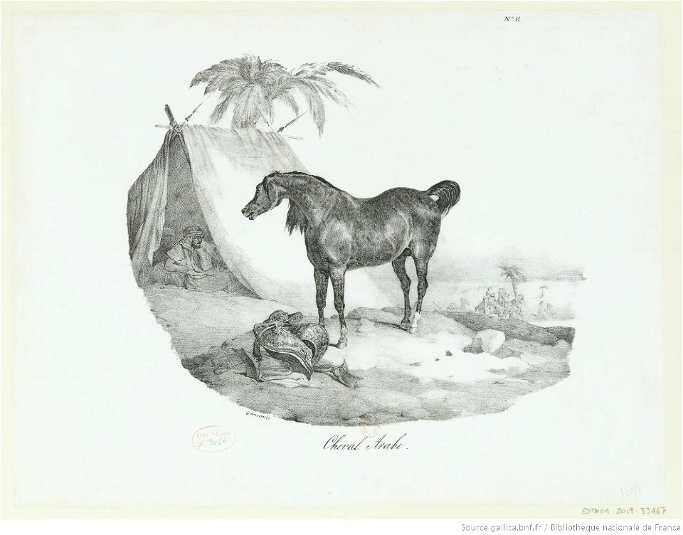 Géricault - Cheval Arabe, 4e état, btv1b10028684d