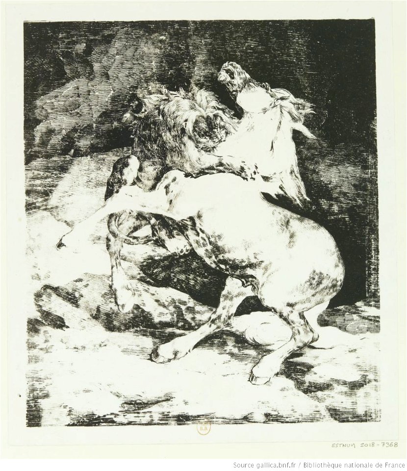 Géricault - Cheval attaqué par un lion, btv1b10028925h