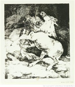 Géricault - Cheval attaqué par un lion, btv1b10028925h