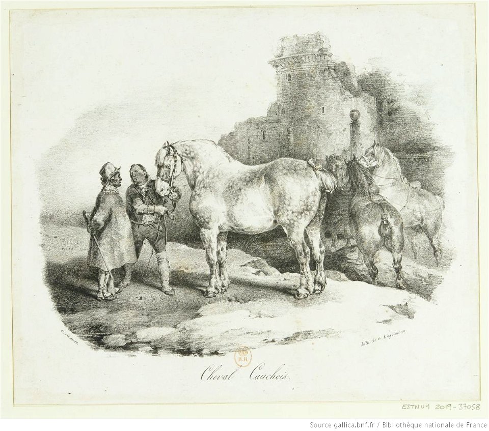 Géricault - Cheval Cauchois, btv1b100280431