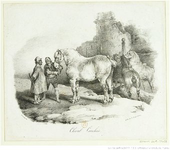 Géricault - Cheval Cauchois, btv1b100280431