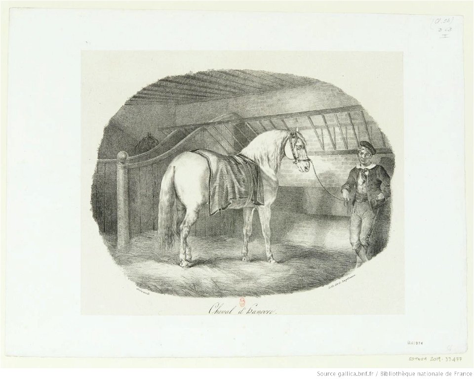 Géricault - Cheval d'Hanovre, btv1b100291730