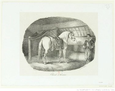 Géricault - Cheval d'Hanovre, btv1b100291730