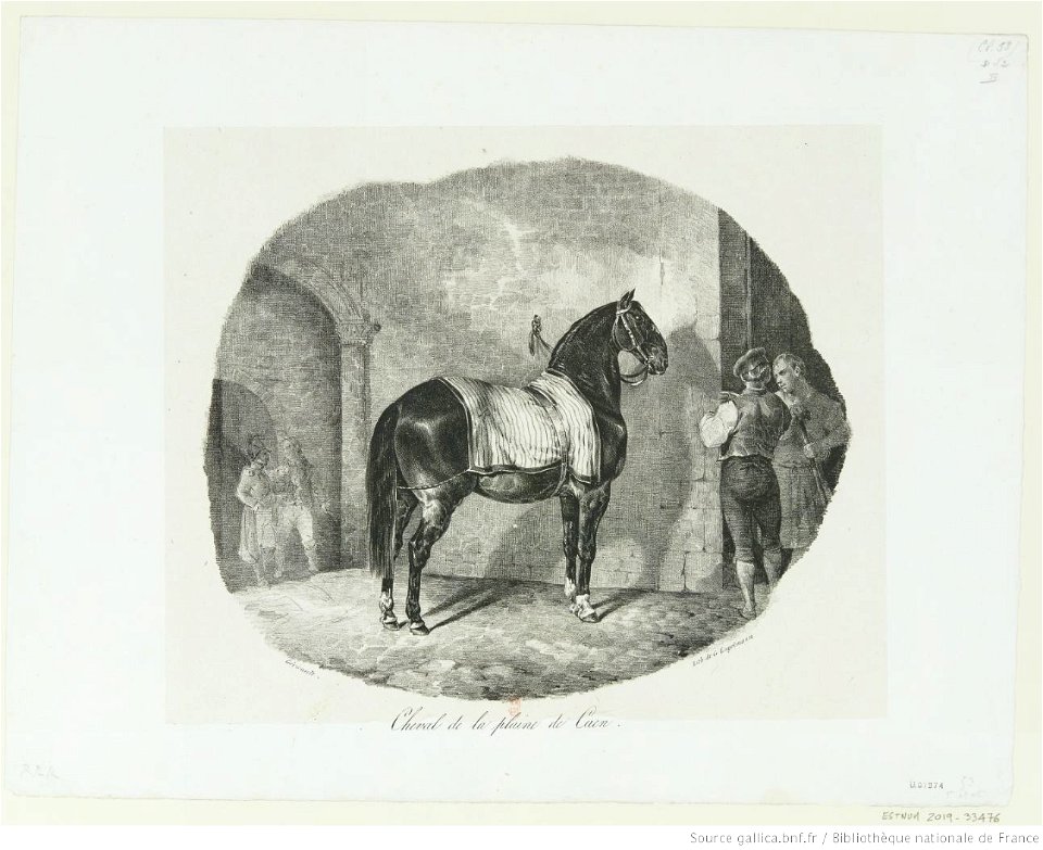 Géricault - Cheval de la plaine de Caen, btv1b100291859