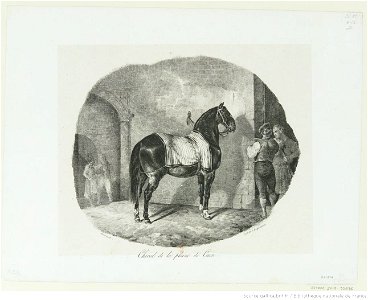 Géricault - Cheval de la plaine de Caen, btv1b100291859