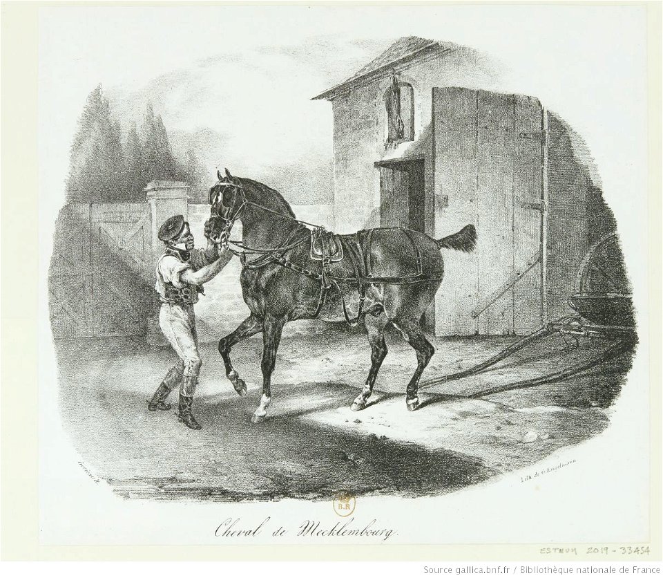 Géricault - Cheval de Mecklembourg, btv1b10028764z
