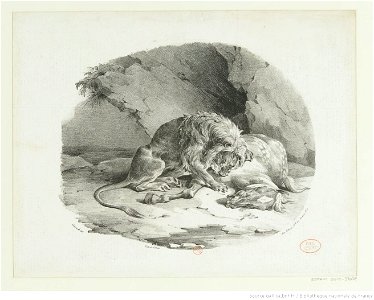 Géricault - Cheval dévoré par un lion, btv1b10028006q
