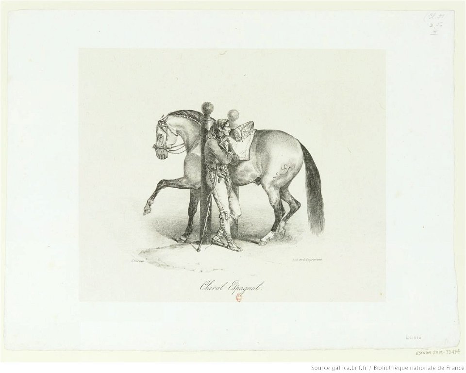Géricault - Cheval Espagnol, btv1b10029197m