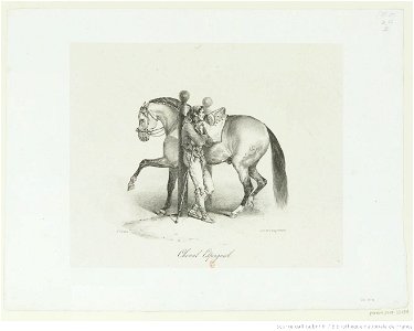 Géricault - Cheval Espagnol, btv1b10029197m