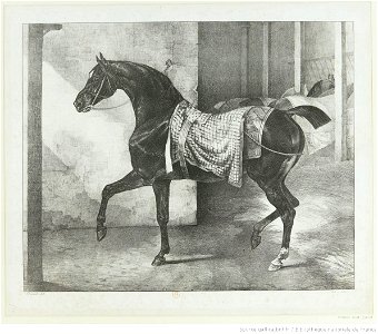 Géricault - Cheval noir attaché dans une écurie, btv1b10028079z