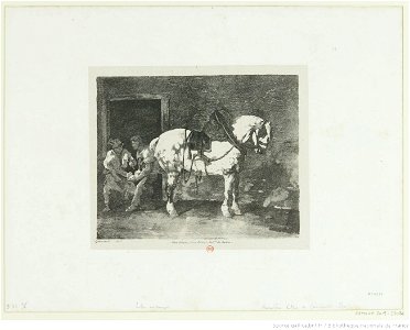 Géricault - Cheval que l'on ferre, 4e état, btv1b10028090r