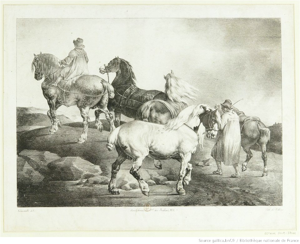 Géricault - Chevaux conduits à la foire, btv1b10028116h