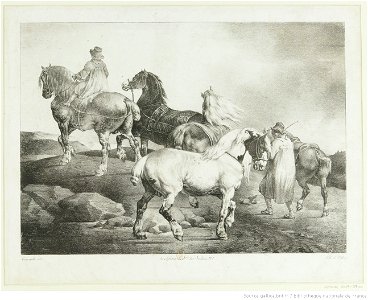 Géricault - Chevaux conduits à la foire, btv1b10028116h