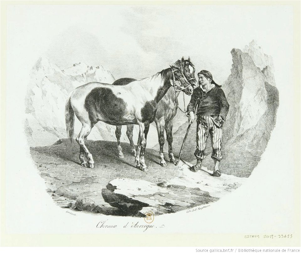 Géricault - Chevaux d'Auvergne, btv1b10028752n