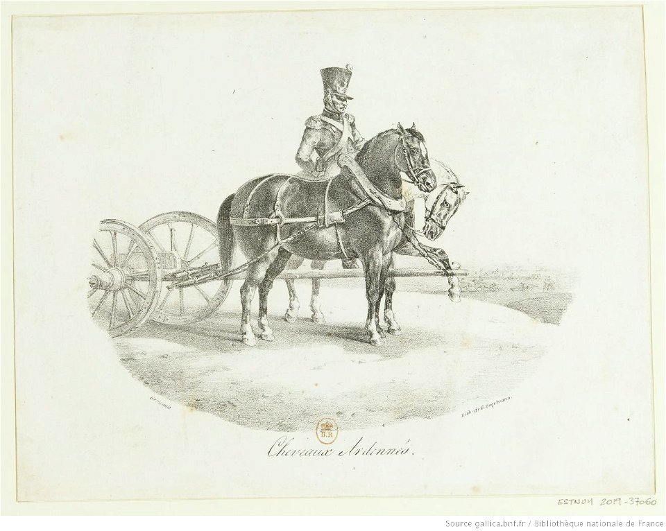 Géricault - Cheveaux (sic) Ardennés (sic), btv1b10028045x