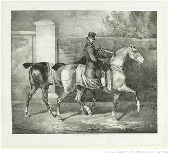 Géricault - Deux chevaux promenés par un jockey, btv1b100280755