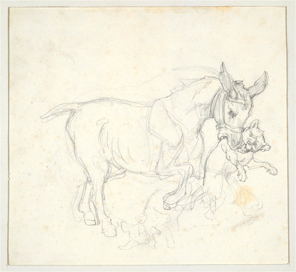 Géricault - Donkey Holding Dog in its Mouth (recto), 1965.9.19a-b