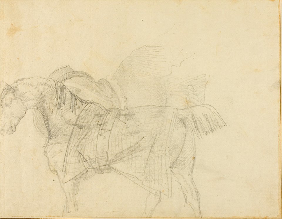 Géricault - Horse Wearing a Blanket, 1818-1819