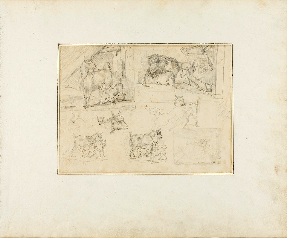 Géricault - Sketches of Goats, 1813-14