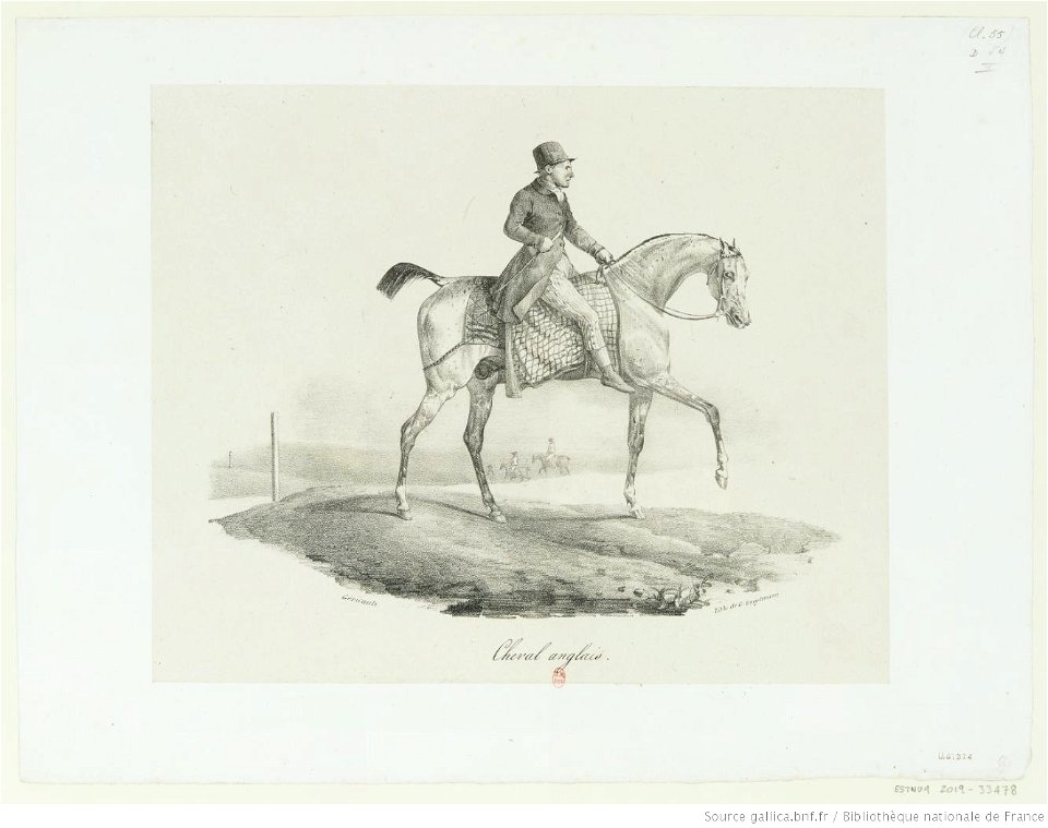 Géricault - Cheval anglais, btv1b10028720h