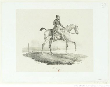 Géricault - Cheval anglais, btv1b10028720h