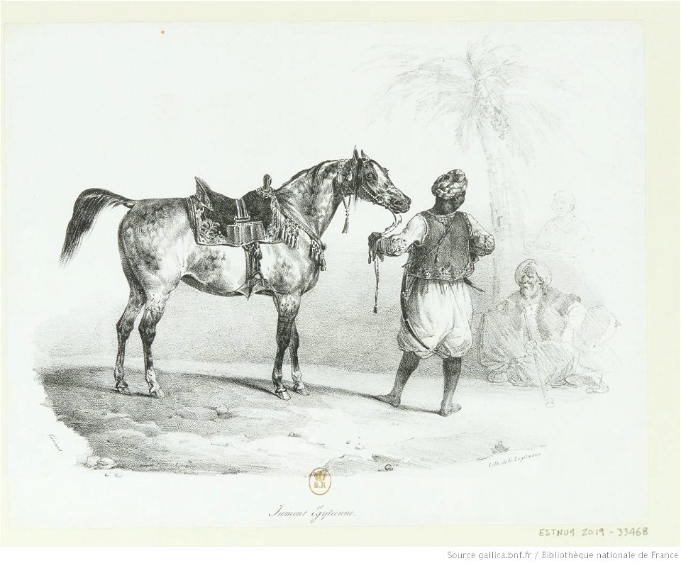 Géricault - Jument Egytienne (sic), btv1b10028678s