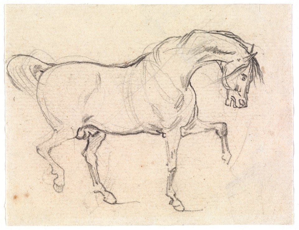 Géricault - Study of a Horse, 85.773