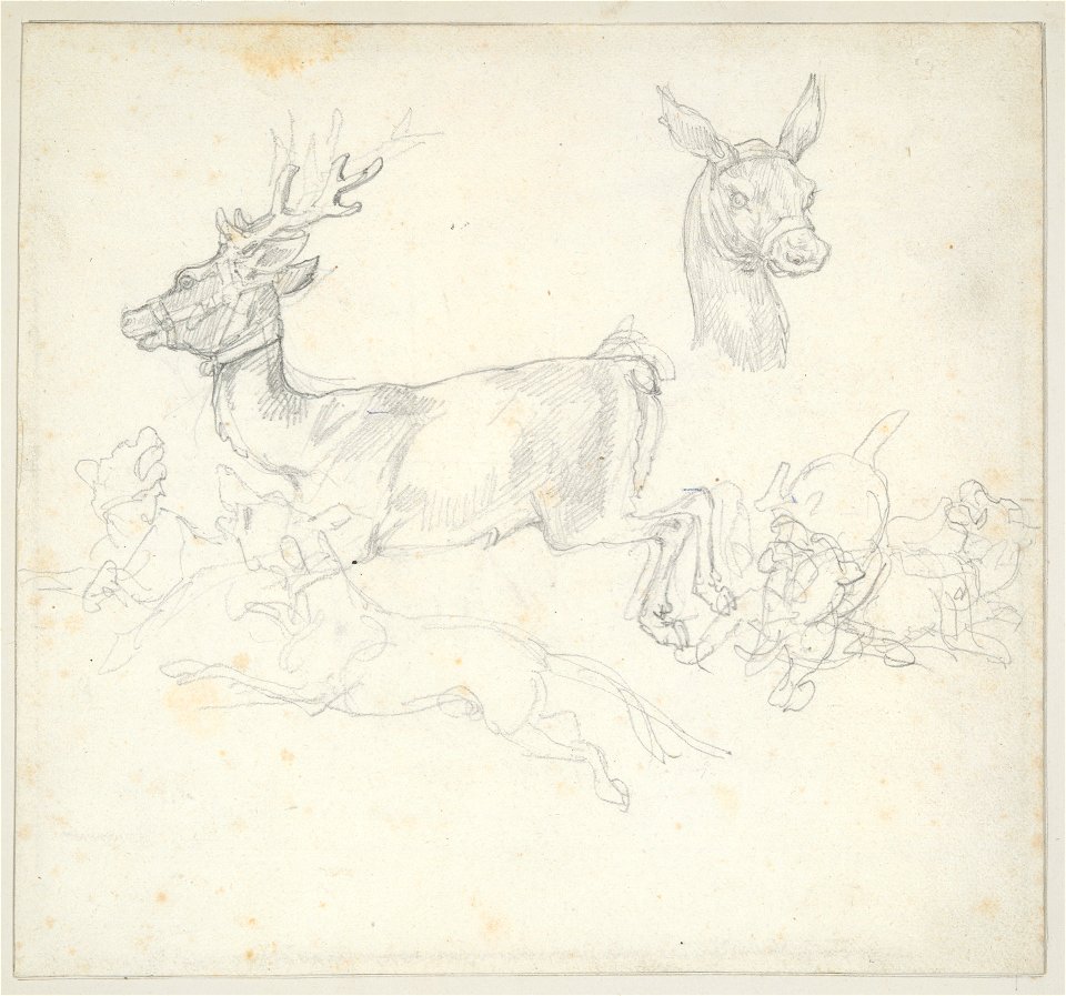 Géricault - Study of Deer Chased by Dogs, Doe’s Head (verso), 1965.9.19a-b