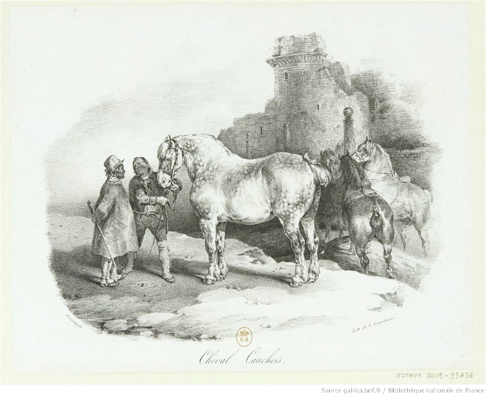 Géricault - Cheval Cauchois, btv1b10028740b