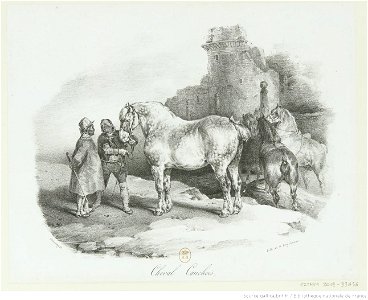 Géricault - Cheval Cauchois, btv1b10028740b