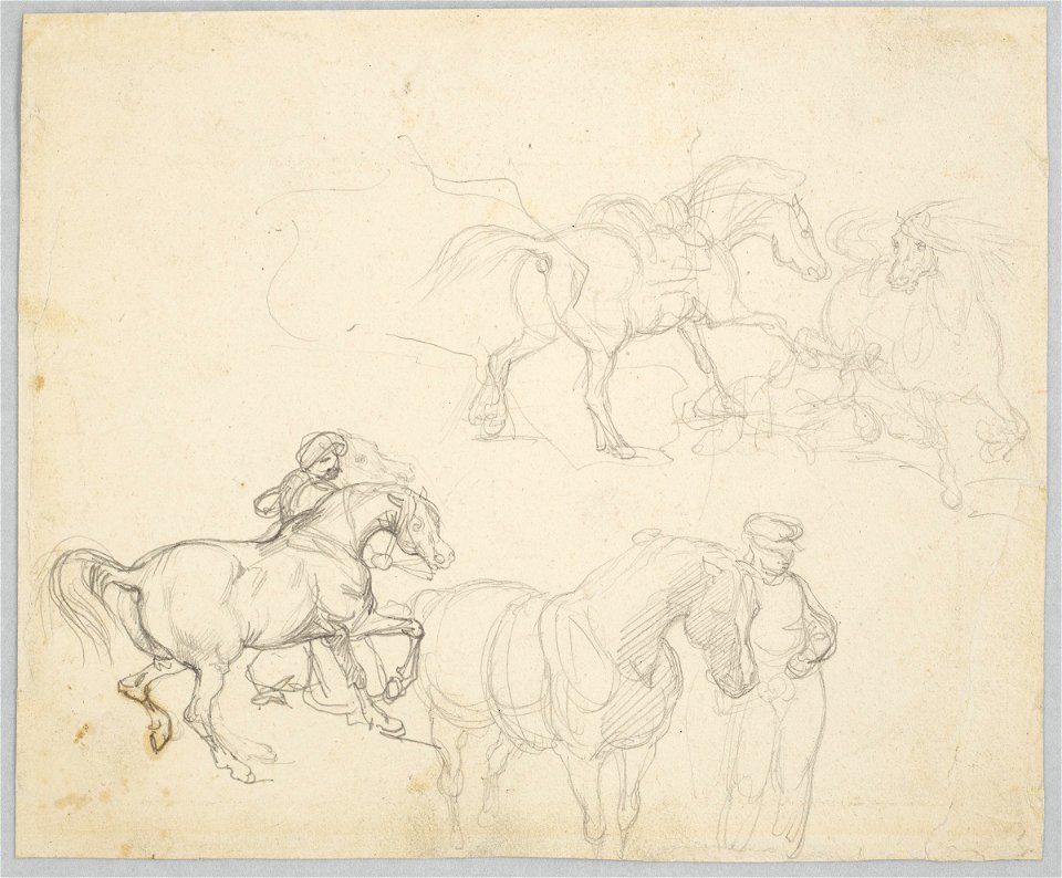 Géricault - Studies of Horses, c. 1820