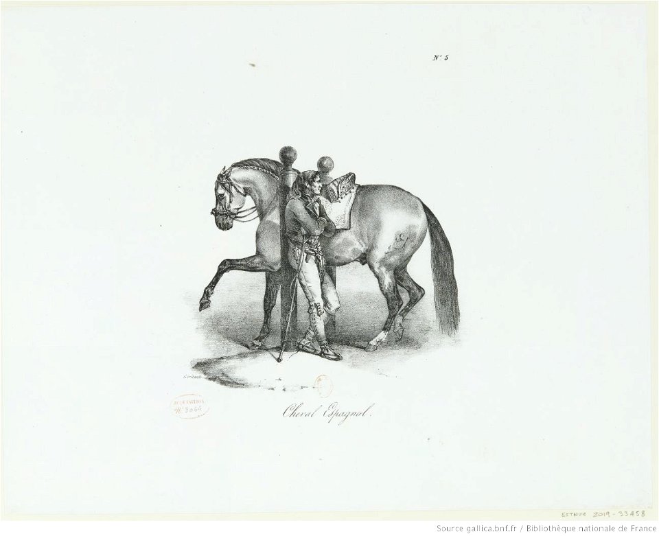 Géricault - Cheval Espagnol, 4e état, btv1b10029195q