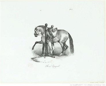 Géricault - Cheval Espagnol, 4e état, btv1b10029195q