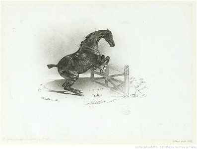 Géricault - Cheval franchissant une barrière, btv1b10028813t