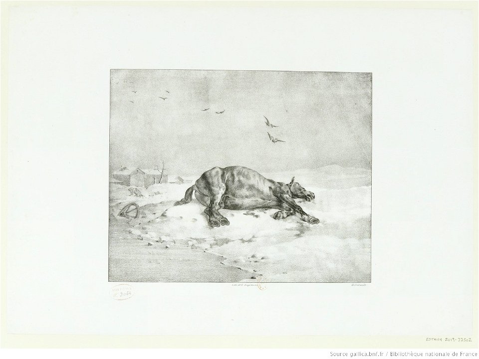 Géricault - Le cheval mort, 3e état, btv1b10028607f