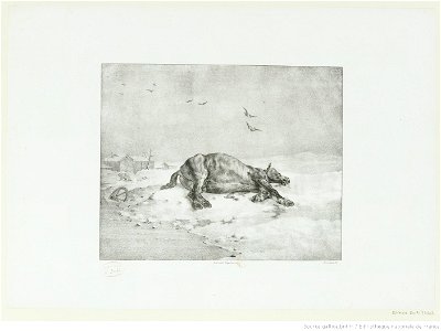 Géricault - Le cheval mort, 3e état, btv1b10028607f