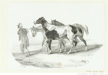 Géricault - Trois chevaux conduits à l'écorcheur, btv1b10028845z
