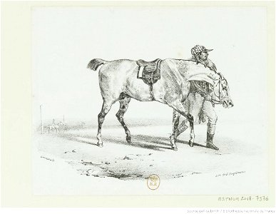 Géricault - Cheval que l'on promène avant la course, btv1b100288862