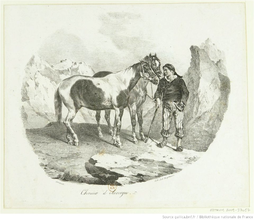 Géricault - Chevaux d'Auvergne, btv1b100281046