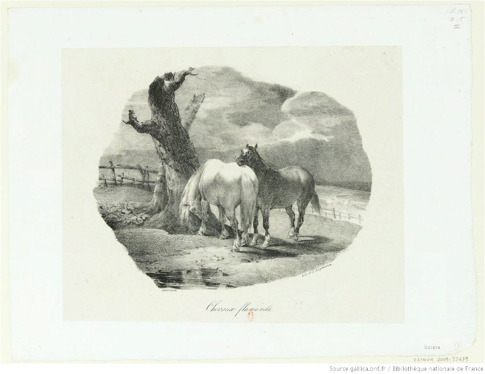 Géricault - Chevaux flamands, btv1b100287014