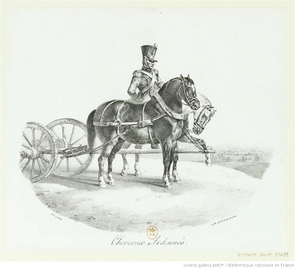 Géricault - Cheveaux (sic) Ardennés (sic), btv1b10029193t