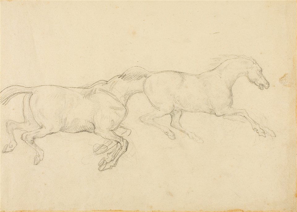 Géricault - Two Horses Galloping to the Right, 1818-19