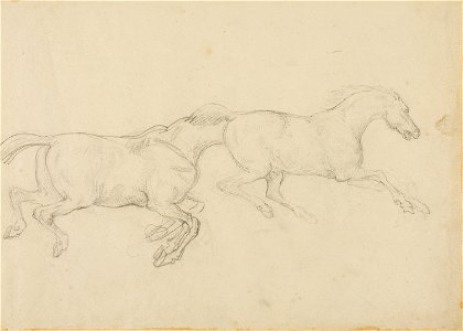 Géricault - Two Horses Galloping to the Right, 1818-19