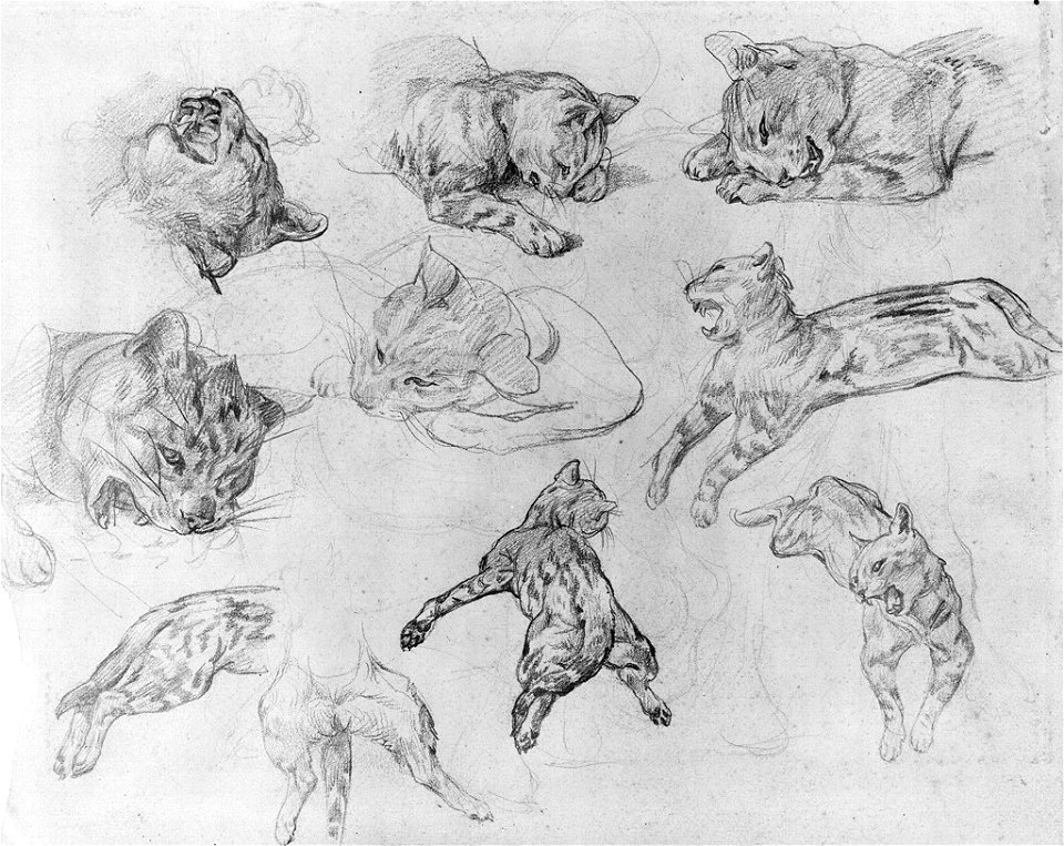 Géricault - verso Study of a horse's hoof, c. 1820-1821