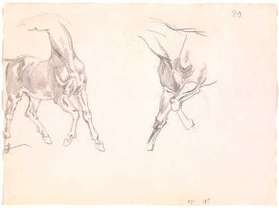 Géricault - Recto Study of A Horse (Etude de Cheval), 85.772