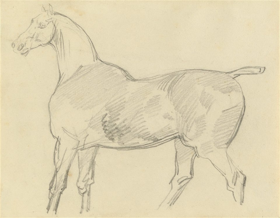 Géricault - Horse, 1810 - 1824