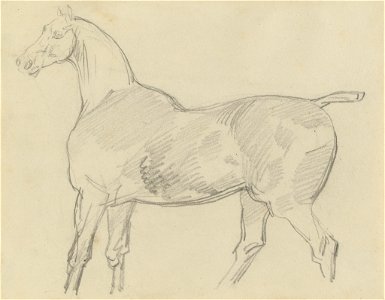 Géricault - Horse, 1810 - 1824