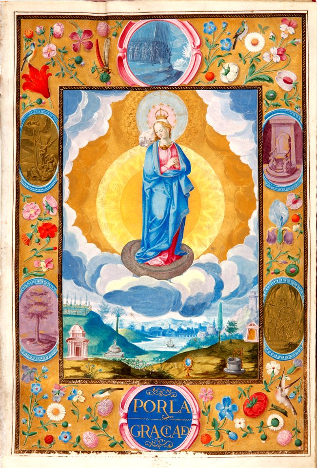 Gómez, Diego - Immacule Conception in Enforceable Charter of chivalry of Arias Pardo de Cela - Google Art Project