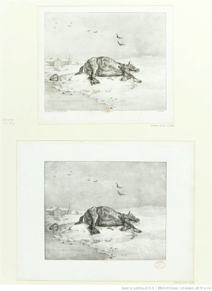 Géricault - Le cheval mort, btv1b100281330
